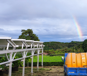proyecto de montaje en tierra-granja solar